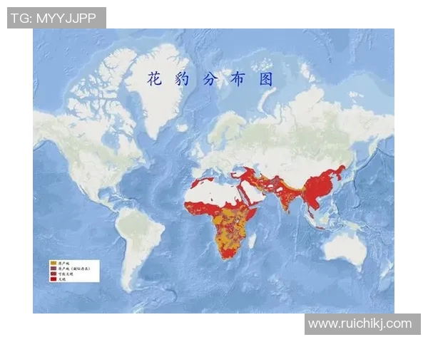 朝鲜与黎巴嫩历史交战回顾及战绩分析探讨 朝鲜与黎巴嫩历史交战回顾及战绩分析探讨