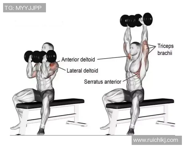 举完哑铃手臂伸不直的原因及解决方法解析