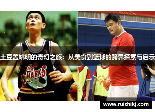 土豆盖姚明的奇幻之旅：从美食到篮球的跨界探索与启示